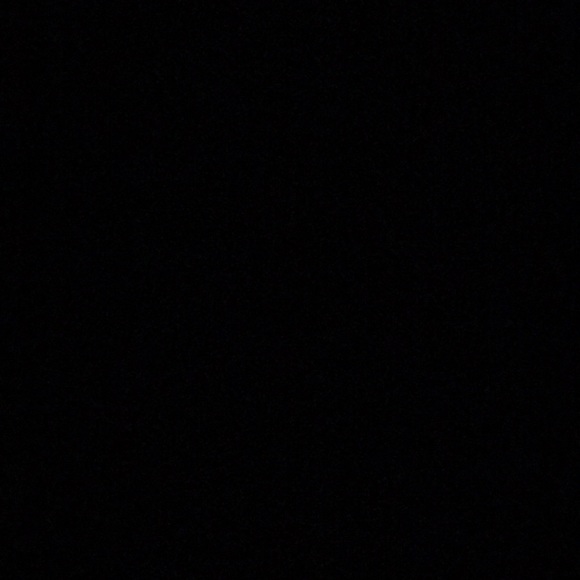 dasaniwill